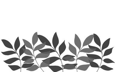 Black-and-white leaves. Background for your design wallpapers, pattern fills, web page, surface textures