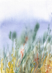 Watercolor illustration depicting motley grass against the blue sky.