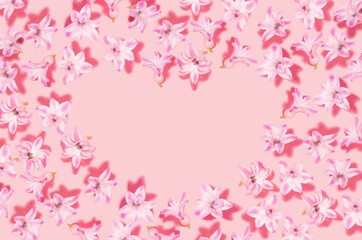 Pink hyacinth flower with shadows and heart shape blank space on pastel pink background. Valentine day and love backdrop.