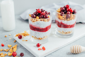 close-up of chia pudding with yogurt granola currant on the background of a bottle of milk on a gray background