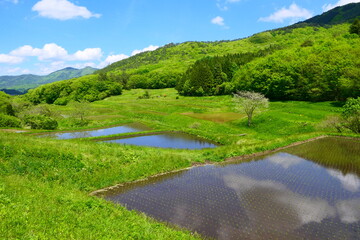 Fototapeta na wymiar 初夏の里山。空を映す棚田。奥州、岩手、日本。5月下旬。