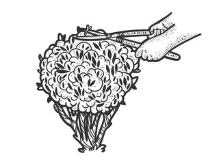 Gardener trims the bush sketch engraving vector illustration. T-shirt apparel print design. Scratch board imitation. Black and white hand drawn image.