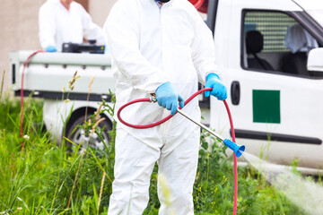 Pest control worker spraying insecticides or pesticides outdoors. Ragweed hay fever chemical treatment.