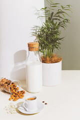 Eco friendly, morning, food composition with cup of espresso, no lactose plant milk, almond and house plant. Healthy vegan breakfast with coffee on a eco friendly kitchen. Relaxing at home