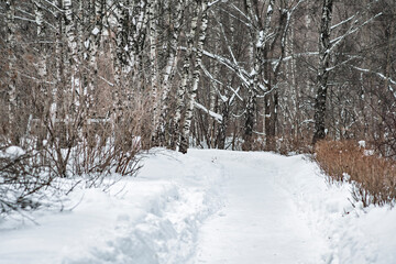 Snow-covered path for walking in the winter park. An empty pedestrian road surrounded by snow-covered trees.