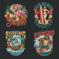 Hawaii surfing vintage labels
