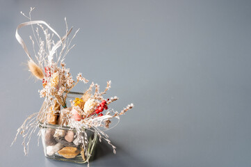 dried flowers catkins on a gray background
