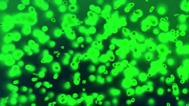 green viral cells move in space and multiply. abstract animation