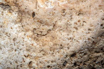 Background with the surface of a piece of light stone with small holes in soft focus under high magnification