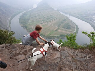 Urlaub mit Hund