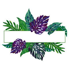 Watercolor illustration Botanical tropical monstera fern palm houseplants frame invitation label greetings