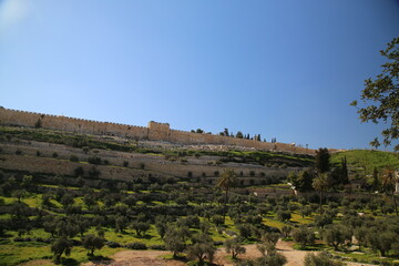 Fototapeta na wymiar The city walls of Jerusalem