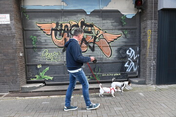 Gassi gehen mit zwei Jack Russell Terriern