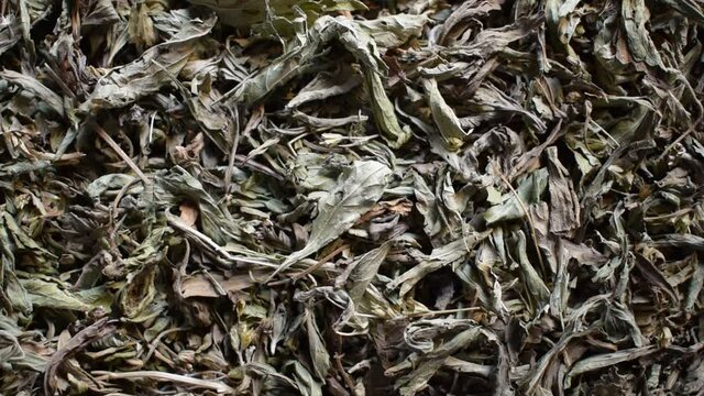 Dried raw whole Stevia leaf