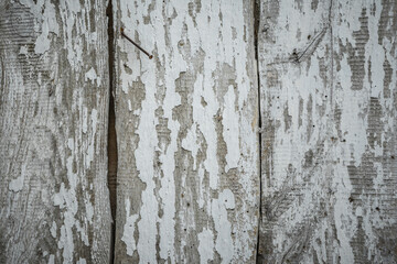 Old painted wood wall. Vintage wood background