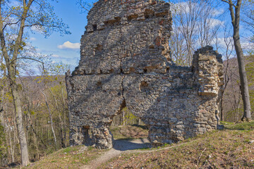 Fototapeta premium Burgruine Stecklenburg bei Stecklenberg im Harz