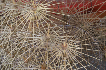 A pile of essential parts of handmade umbrellas.