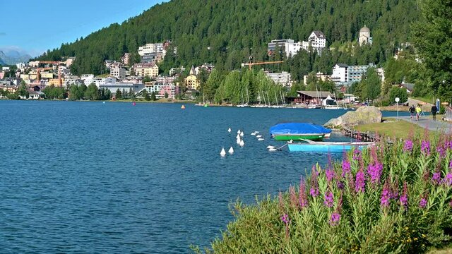 Ufer des St.Moritzersees im Sommer, Graub&uuml;nden, Schweiz