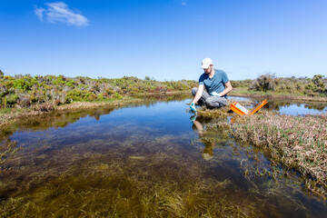 Fototapeta na wymiar Scientist measuring environmental water quality parameters in a wetland.