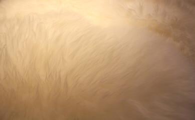 Fototapeta na wymiar fur texture. fake fur texture. 