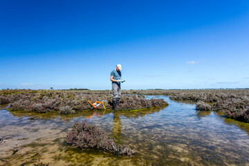 Scientist measuring environmental water quality parameters in a wetland.