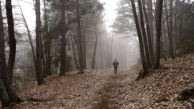 outdoor activities in the nature of Sicily mountains hiker in the fog down on wooded path in Etna Park