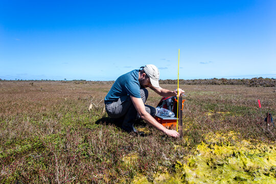 Scientist setting up a water level logger in a wetland.