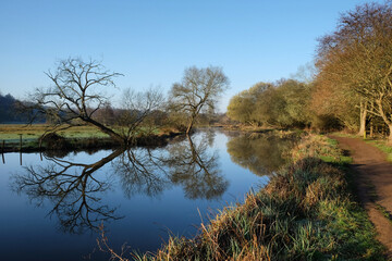 Fototapeta na wymiar The towpath along the River Wey in Godalming, Surrey, UK