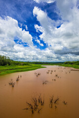 Rio. Nature and environment. Brazil

