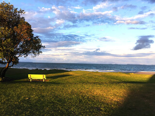 Obraz premium bench in the park. waterfront landscape. 