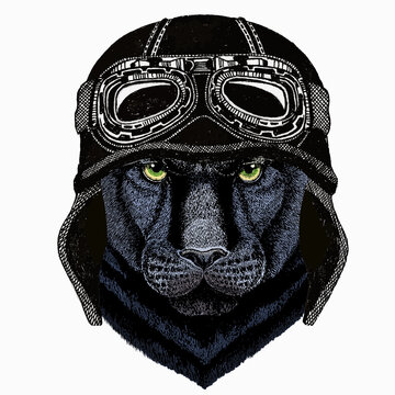 Black panther. Wild cat portrait. Vintage motorcycle biker helmet.