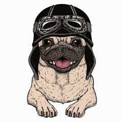Vector pug, dog portrait. Animal head, face. Vintage motorcycle biker helmet.