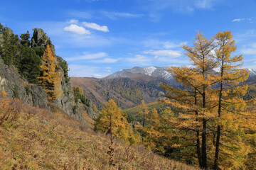 Fototapeta na wymiar Autumn in Altai mountains, Ust-Koksinsky district, Altai republic, Russia