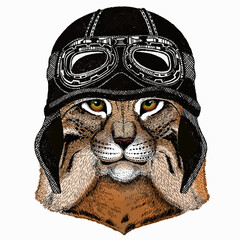 Lynx, bobcat. Wild cat. Vector portrait of cat head. Vintage motorcycle biker helmet.