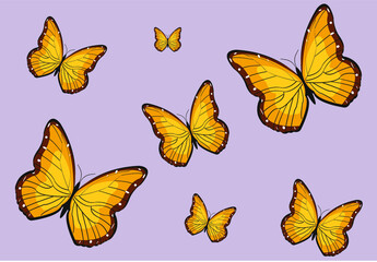 vector butterfly pattern, illustration, wallpaper and background