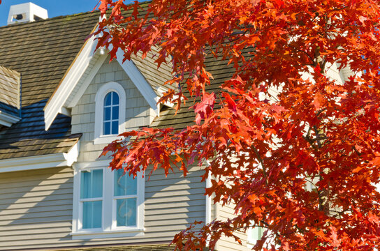 Fragment of a nice house over beautiful red maple tree in Vancouver, Canada.