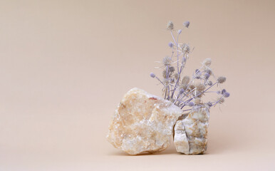 Background for cosmetics. Stone podium with bouquet of dried flowers on soft beige isolated background. Front view.