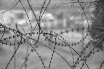 barbed wire fence at the border