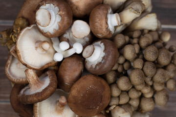 Variety of uncooked wild forest mushrooms. Close up. Top view.