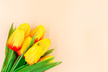 Tulips yellow and orange color with green leaves isolated on orange  background