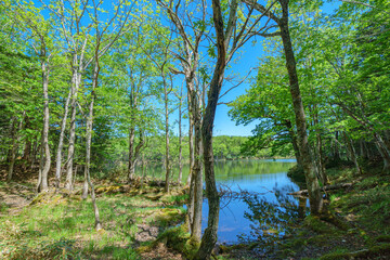 知床五湖　北海道道東世界遺産