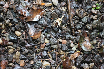 wet stone wall texture