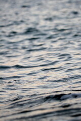 Water waves. Seawater. Ripples on water