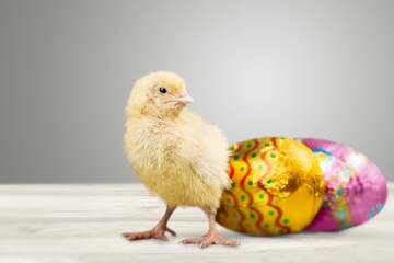 Chick.