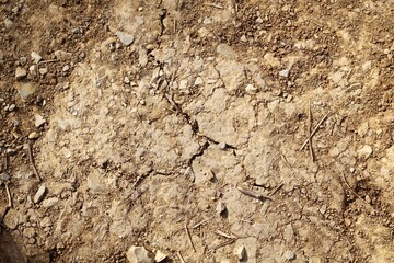 A close view of the solid dirt ground surface.