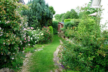Residential Garden, private garden. Landscape design in home garden, beautiful landscaping in...