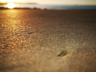 close up of a beach with a background sunset
