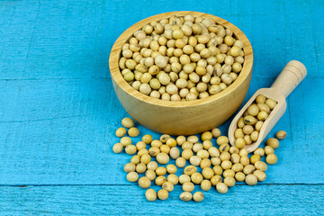 Soybeans in wooden bowl with wooden spoon on blue wooden background. Soy contains nutrients that are beneficial to the body. But there are also allergens.