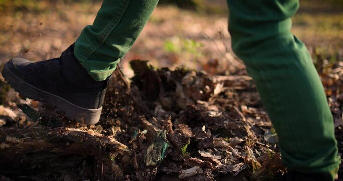 a sudden knock destroying a rotten stump, that is blasting with a lot of dust particles