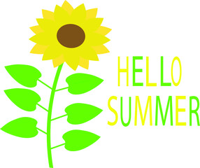 Hello summer yellow green sign and a sunflower vector cartoon nature summer on white background